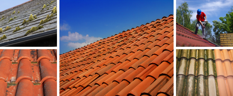 Quel produit utiliser pour nettoyer un toit ?