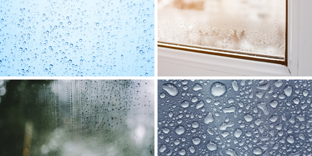 Humidité : Condensation et buée